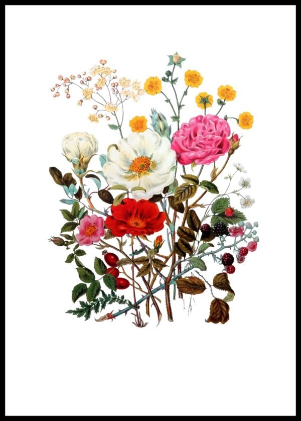 ALP F13075 The Rose Tribe (Antique Prints)